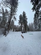 1056929.jpeg 1056929.jpeg