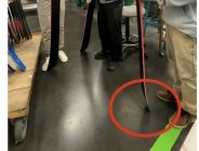 1059378.jpeg 1059378.jpeg