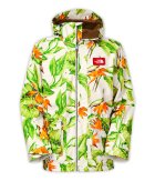 1061365.jpeg 1061365.jpeg