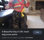 1062188.jpeg 1062188.jpeg