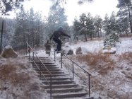 1062411.jpeg 1062411.jpeg