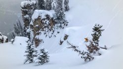 In Depth Review - Salomon QST Echo 106 - The Roofbox