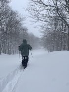 1067144.jpeg 1067144.jpeg