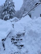 1067145.jpeg 1067145.jpeg