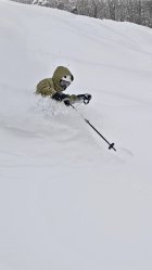 1067164.jpeg 1067164.jpeg