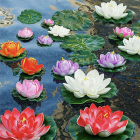 1068832.png 1068832.png