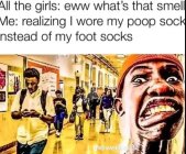 1069772.jpeg 1069772.jpeg