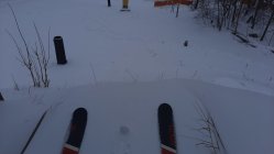 1069950.jpeg 1069950.jpeg