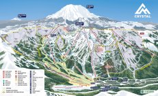 Huge Avalanche Wipes Out Forest At Crystal Mountain