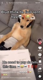 1070488.jpeg 1070488.jpeg