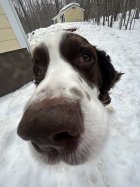 1070493.jpeg 1070493.jpeg