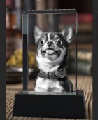 1070593.jpeg 1070593.jpeg