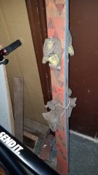 1070681.jpeg 1070681.jpeg