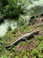 1073696.jpeg 1073696.jpeg