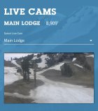 1074036.jpeg 1074036.jpeg