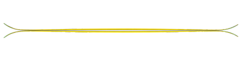 1074466.png