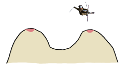 1075186.png 1075186.png