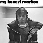 1078081.jpeg 1078081.jpeg