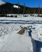 1079514.png 1079514.png