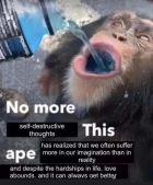 1079987.png