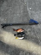 1080749.jpeg 1080749.jpeg