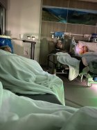 1081105.jpeg 1081105.jpeg