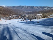 1081818.jpeg 1081818.jpeg