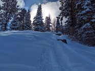 1082750.jpeg 1082750.jpeg