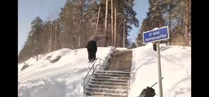 1083685.jpeg 1083685.jpeg