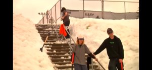 1083686.jpeg 1083686.jpeg