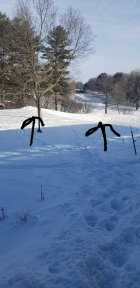 1085293.jpeg 1085293.jpeg