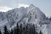 1086098.jpeg 1086098.jpeg