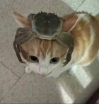 1086449.png 1086449.png