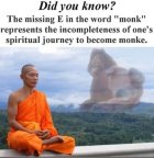 1087974.jpeg 1087974.jpeg