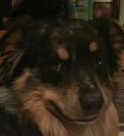 1088188.jpeg 1088188.jpeg