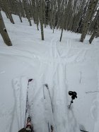 1090410.jpeg 1090410.jpeg