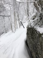 1091043.jpeg 1091043.jpeg