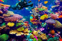 1095596.png 1095596.png