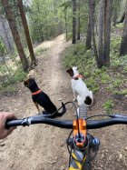 1096938.jpeg 1096938.jpeg