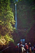 The Road is My Home. 