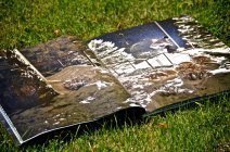 Barnes get his picture taken. 