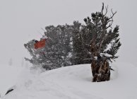 Tim Durtschi Interview 