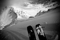 Ian Provo Getting His in October! 