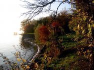 another melancholic pre-season downday