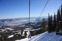 "Someone Jacked My Poles!"