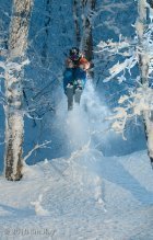 The Lexicography of Gnar 