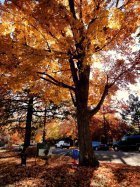 Of course it?s autumn everywhere, but?. 