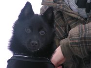 234317.jpeg 234317.jpeg