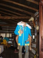 287046.jpeg 287046.jpeg