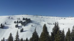 Great Snow & No Crowds at Vail Thanksgiving Day 
